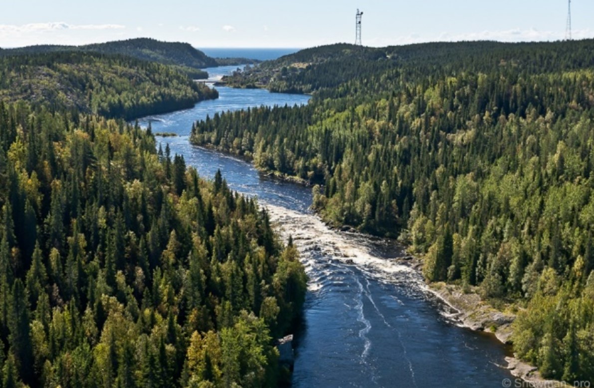 Река Умба с птичьего полета