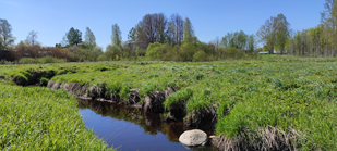 Долина реки Саблинки в верхнем течении 2