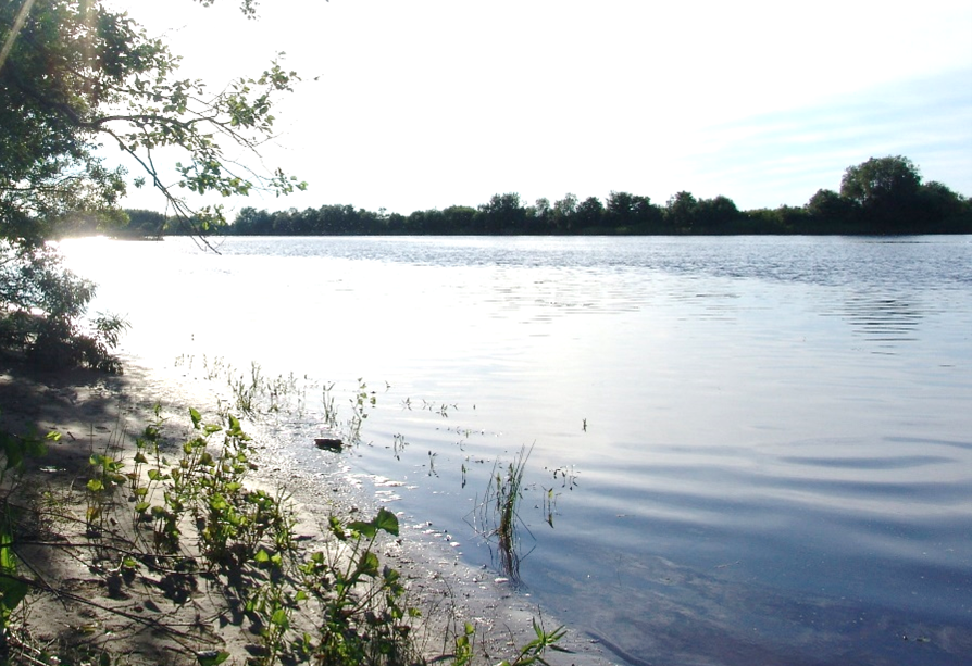 Река Щукурья, остров Старая Лахта