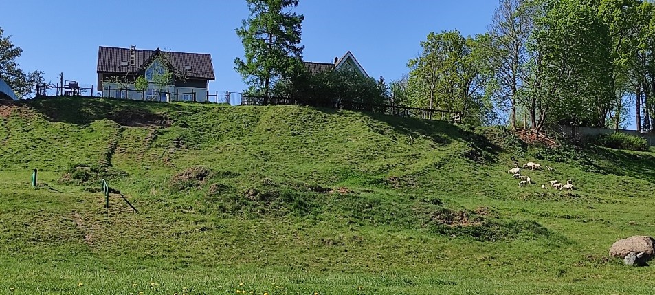 II надпойменная терраса в долине реки Оредеж