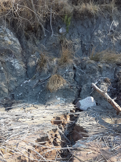 Эрозионные борозды на склоне берегового уступа