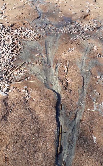 Эрозионные борозды на склоне берегового уступа