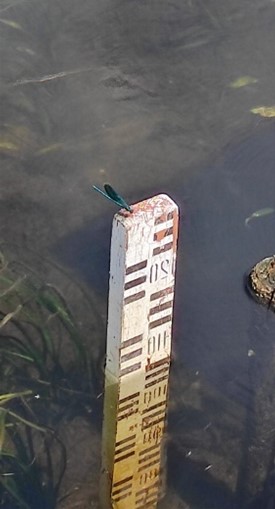 Участники полевого семинара 2