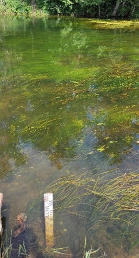 Участники полевого семинара