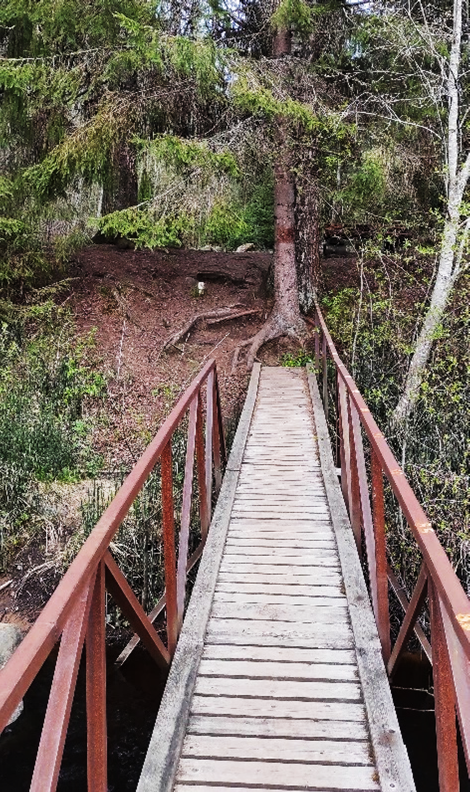 Водомерный пост свайного типа на реке Орлинке