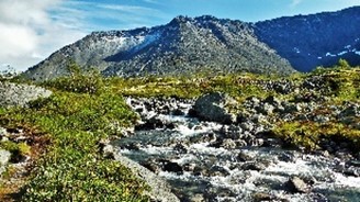 Исток реки Малая Белая