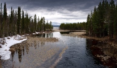 Богданов О. Колвицкое озеро 