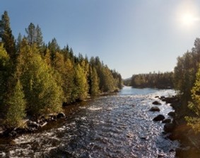 Кириченко В. Река Колвица