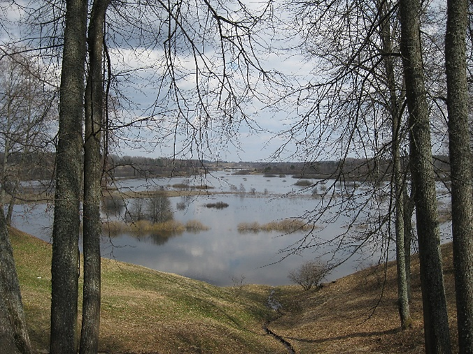 Ложбина с весенним ручьём