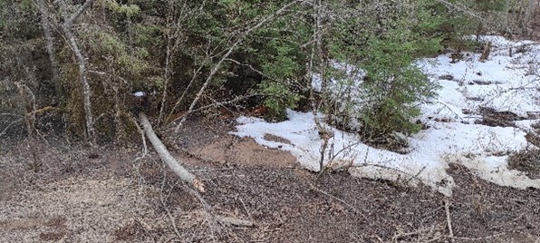 Ложбина в бассейне реки Шегринки2