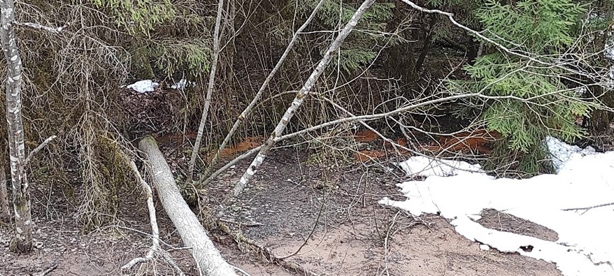 Ложбина в бассейне реки Шегринки3