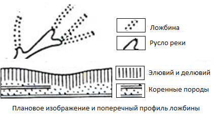 Плановое изображение и поперечный профиль ложбины 
