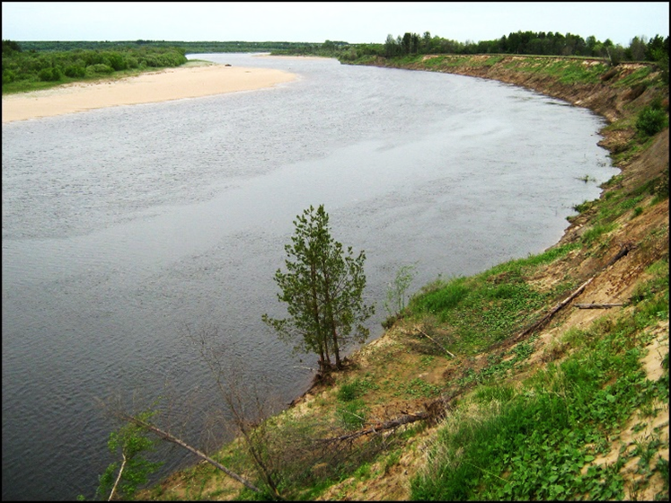 Меандровый амфитеатр на р. Вага около д. Погост