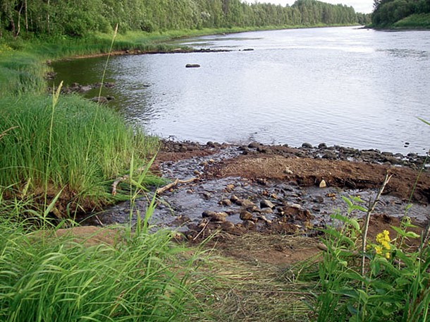 Река Онега в деревне Архангело 2