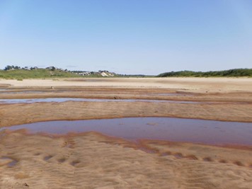 Долина реки Пинеги, пересохшая часть русла