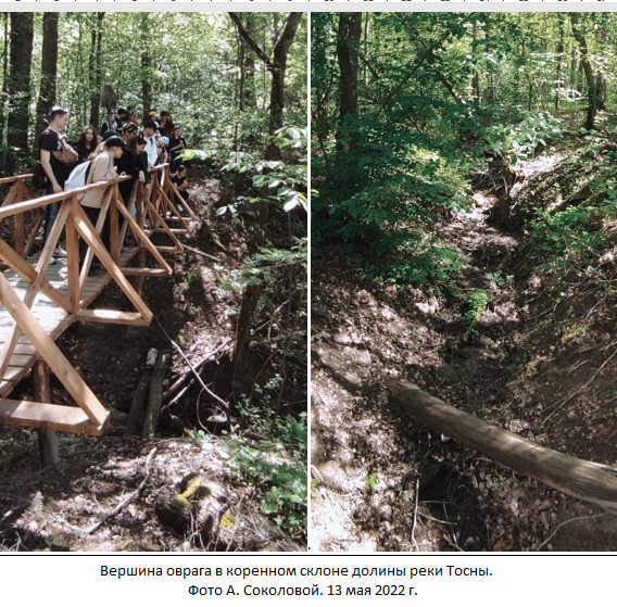 Вершина оврага в коренном склоне долины реки Тосны