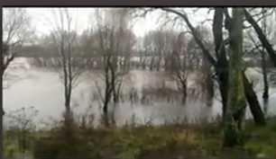 Паводок в ноябре. Волхов и Питьба выходят из берегов