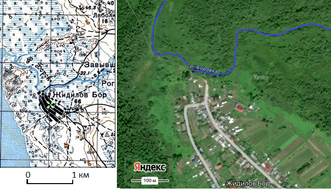 Затапливаемые во время паводков сенокосы в пойме реки Боровки