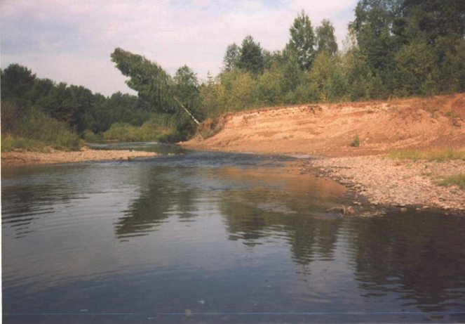 Перекат на реке Шарженьга, Вологодская область [Василий Казаков.]