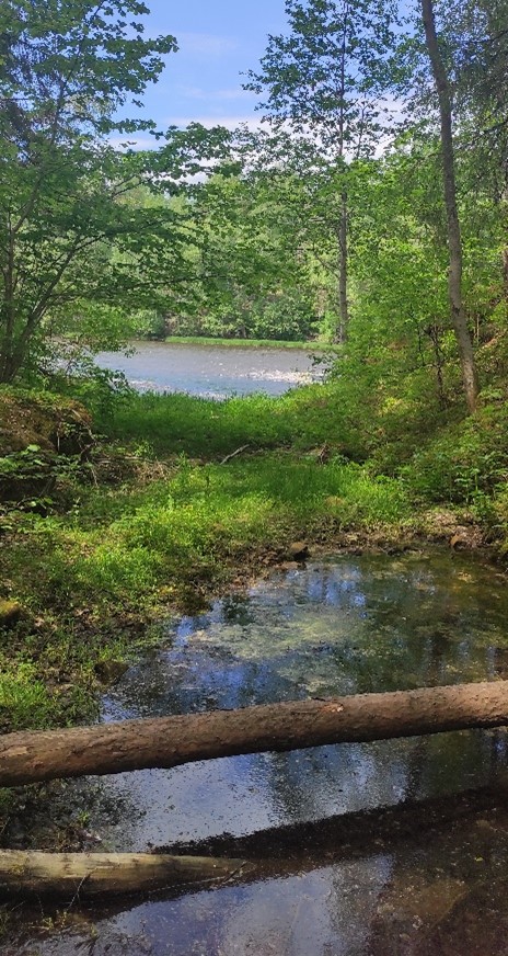 Недействующее русло Понерётки 3