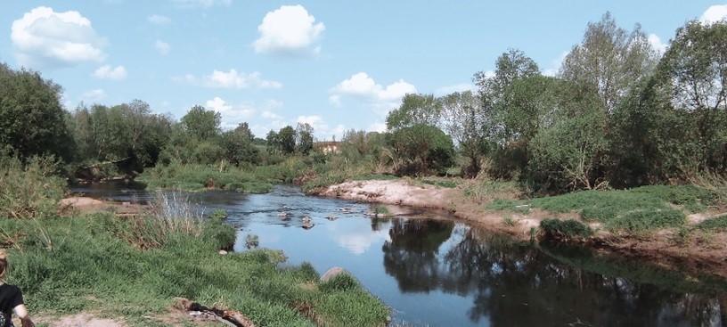 Пойма реки Тосно около устья Саблинки ООПТ «Комплексный памятник природы Саблинский»