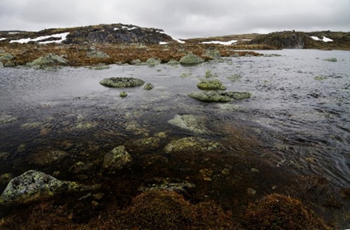 Ручей Каменистый, озеро Долгое, Мурманский берег 2