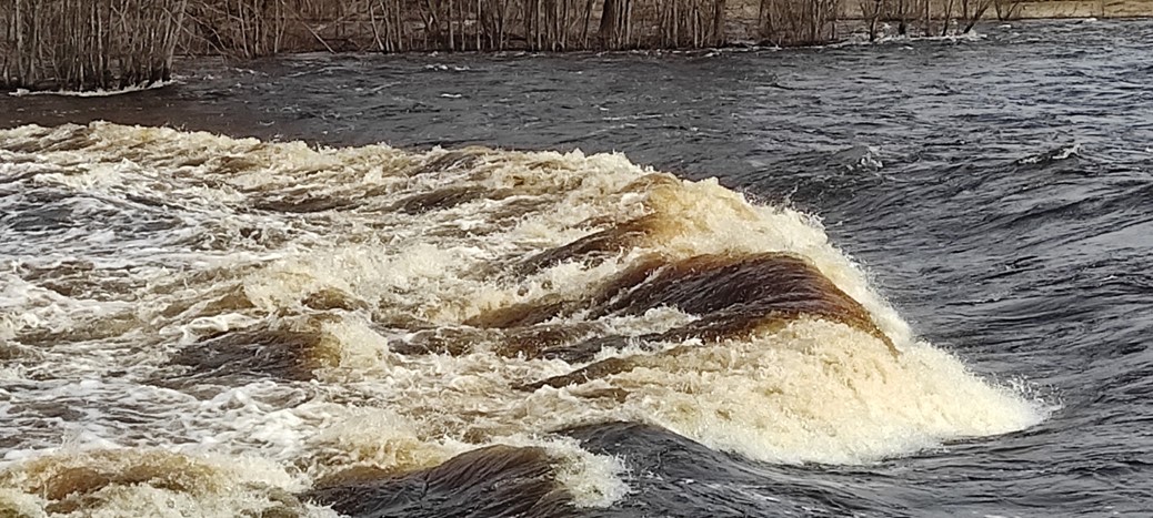 Порог Бели, река Мста (участок Горная Мста). 15 апреля 2023 г.