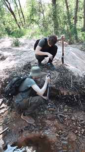 Прирусловой вал в долине реки Луги. Геостанция Железо