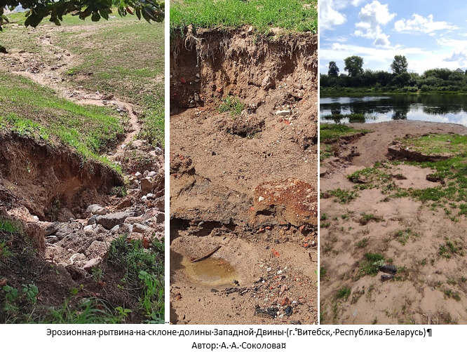 Эрозионная рытвина на склоне долины Западной Двины