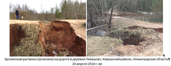 Эрозионная рытвина (промоина) на дороге в деревне Левашово, Киришский районе, Ленинградская область