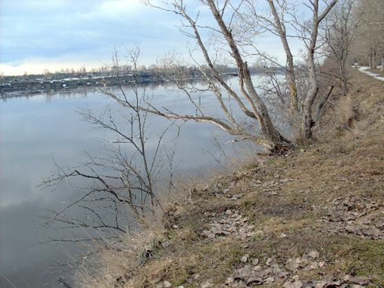 Прямолинейный участок русла реки Волхов