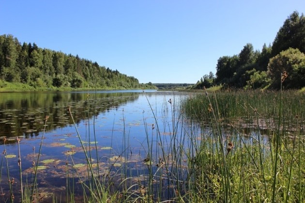 Река Устья (Устьянский район) 1