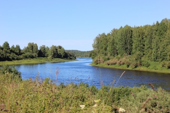 Река Устья (Устьянский район) 2