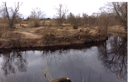Река Порусья в деревне Минцево