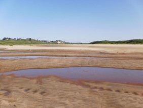Пересыхающий рукав Пинеги в начале Кулойского канала 1
