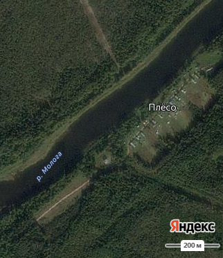 д. Плёсо, Пестовский муниципальный округ, Новгородская область