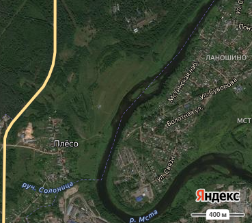 д. Плёсо, Сушанское сельское поселение, Боровичский район, Новгородская область