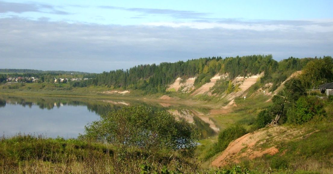 Ирина Г. Сухона.