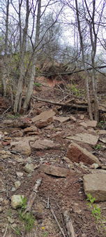 Коренные склоны долины реки Тосны 2