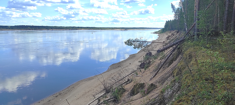 Песчаный обрывистый коренной берег Северной Двины