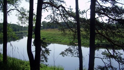 Река Ловать около урочища Стрежено