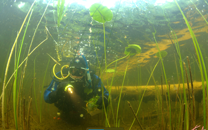 Подводный мир зарастающего русла