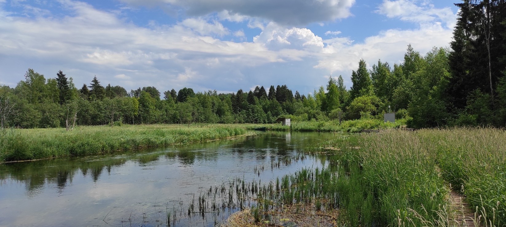 Верхнее течение реки Оредеж