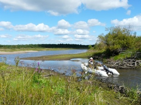 Дельта Кубены, Вологодская область
