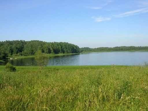 Устье Кубены. Кубенское озеро