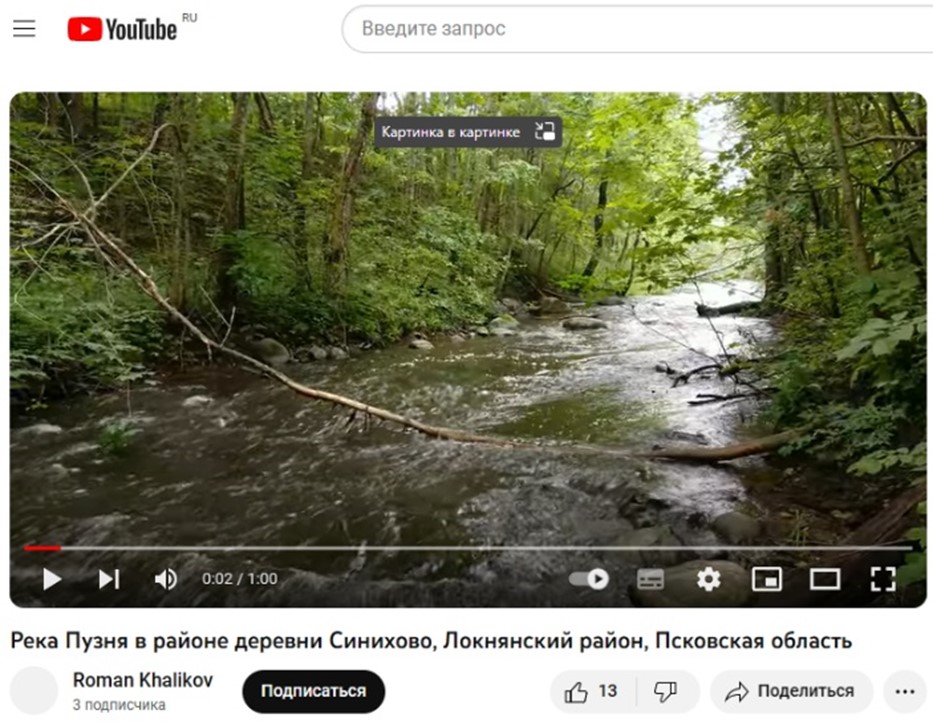 Река Пузня в районе деревни Синихово