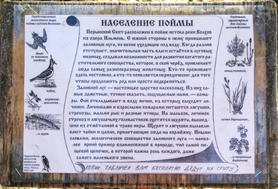 Население поймы