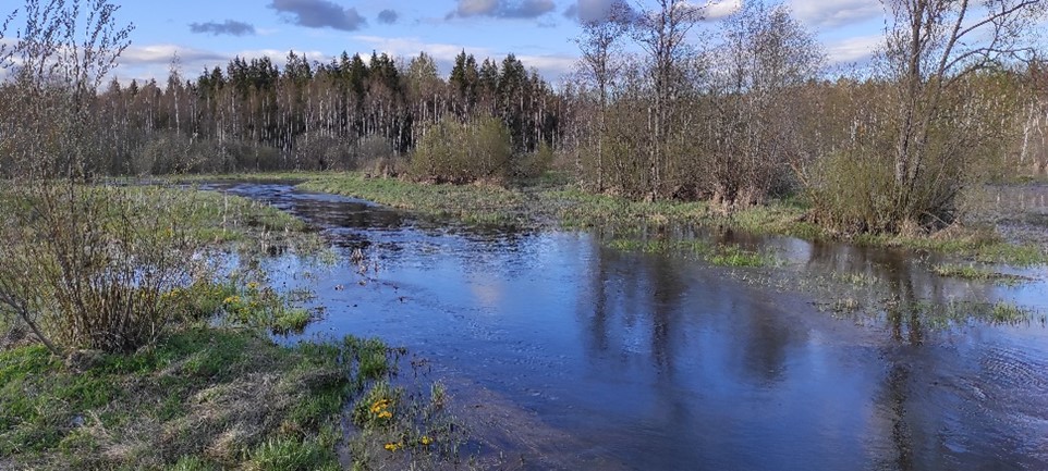 Оредеж в верхнем течении, урочище Большое Заречье