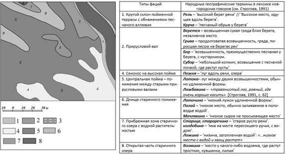 Сегментно-гривистая пойма в среднем течении реки Луги
